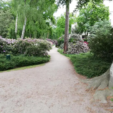 Nagelneue Mit Waldblick 10min Zur Igelring21og Граль-Мюриц
